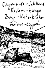 Zeichnung: urian