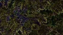 Buschland Stade (Bild: urian)