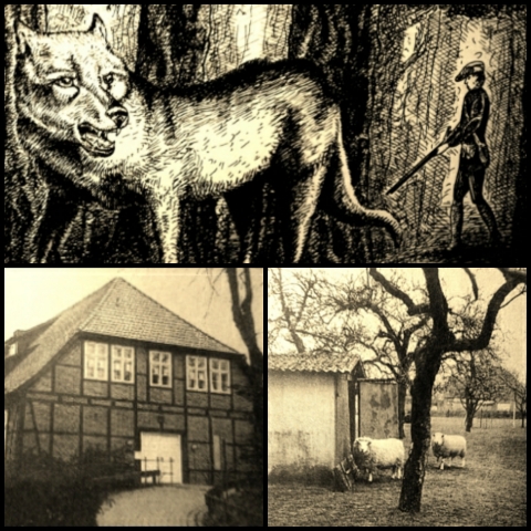 Wolfzeit zwischen Elbe und Weser (Zeichnungen/Fotos: urian)