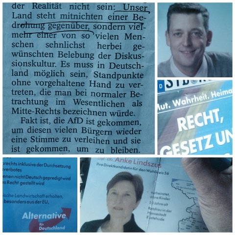 schattenafd_flyer