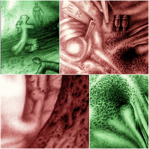 Was zur Nacht kam (Zeichnung: urian)