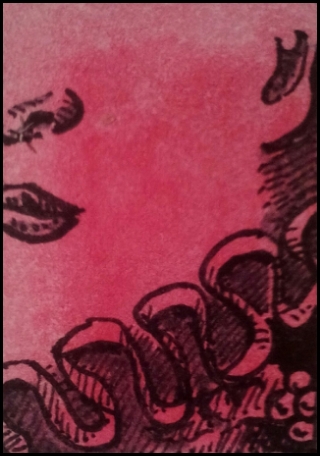 Spitzenkrause (Zeichnung: urian)