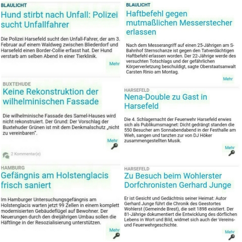 screenshot Stader Tageblatt 18.2.18