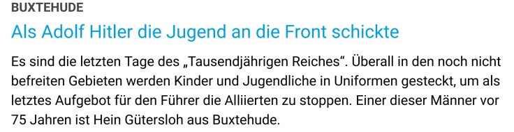 screenshot Stader Tageblatt