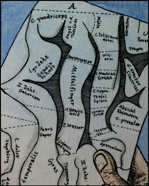 Karte des Gehirns (Zeichnung: urian)