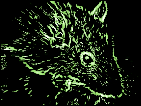 Mäuse und Menschen (Bild: urian)