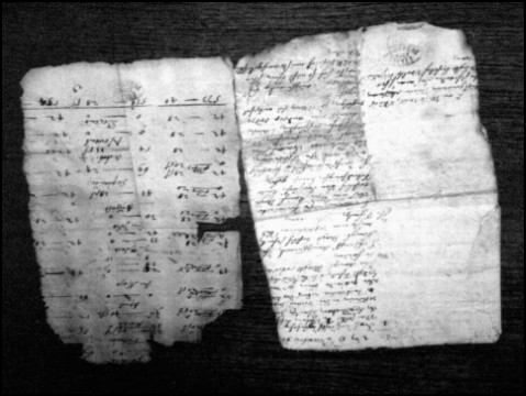 Verwehte Blätter (Foto: urian)