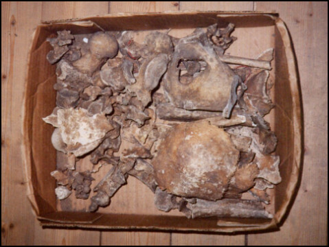 Knochen der Udonen (Foto: urian)