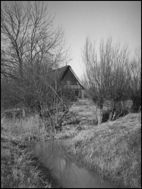 Hollerdeich (Foto: urian)