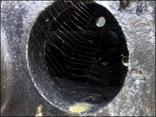 WLAN-Tankstelle am Hafen (Foto: urian)