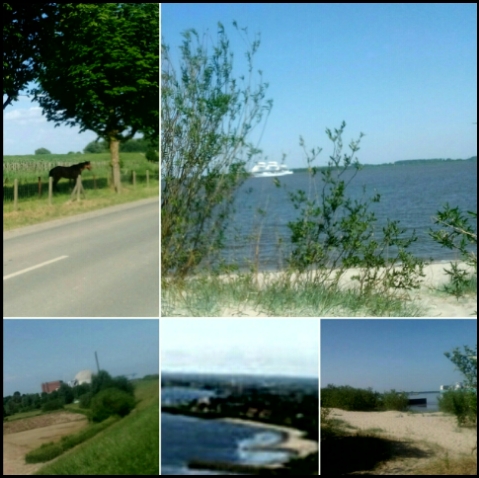 Elbstrand vor Bassenfleth (Fotos: urian)