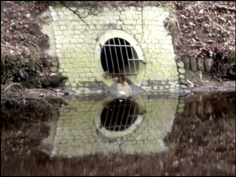 Stade, Burggraben (Foto: urian)