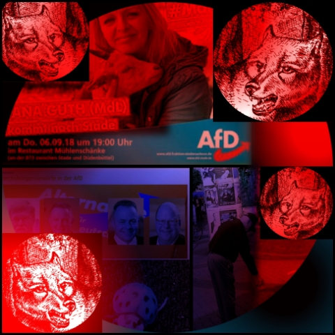 AfD Stade (Bild: urian)