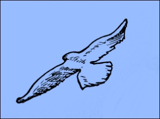 Absturzstelle (Zeichnung: urian)