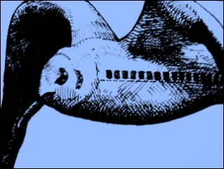 Absturzstelle (Zeichnung: urian)