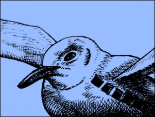 Absturzstelle (Zeichnung: urian)