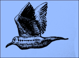 Absturzstelle (Zeichnung: urian)