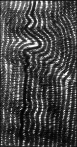 Carl Einstein: Bebuquin (Zeichnung: urian)