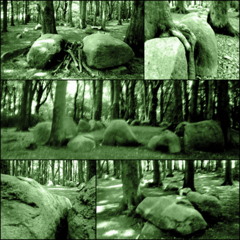 Dohrn Megalithanlage Grundoldendorf (Fotos: urian)