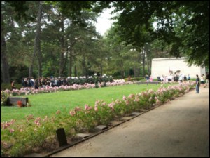 DVU-Kundgebung Ohlsdorf 2006 (Foto: urian)