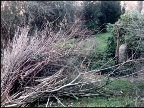 Friedhof Hohenwedel Stade (Foto: urian)