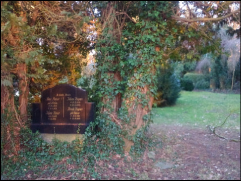 Friedhof Hohenwedel Stade (Foto: urian)