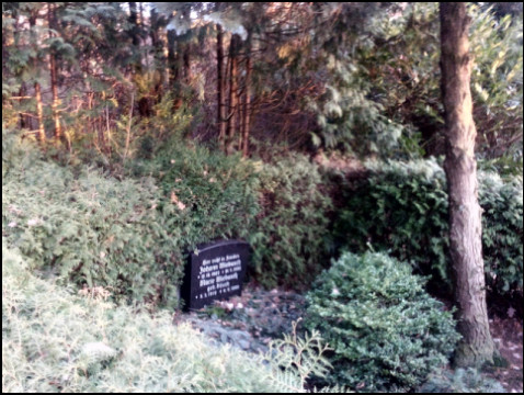 Friedhof Hohenwedel Stade (Foto: urian)