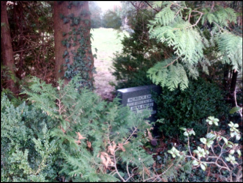 Friedhof Hohenwedel Stade (Foto: urian)