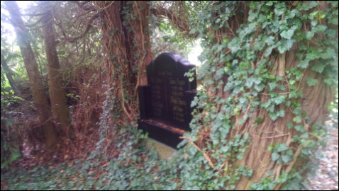 Friedhof Hohenwedel Stade (Foto: urian)