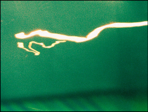 Nachtlichter (Foto: urian)