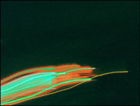 Nachtlichter (Foto: urian)