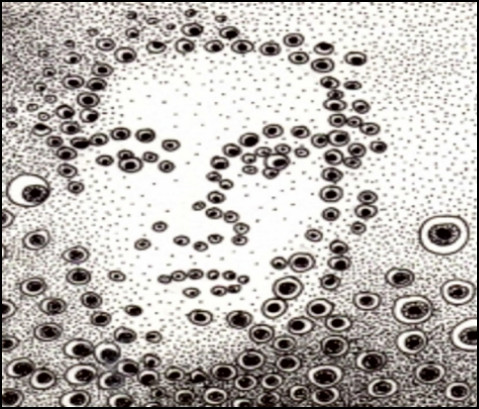 Zykloide Oszillationen (Zeichnungen: urian)