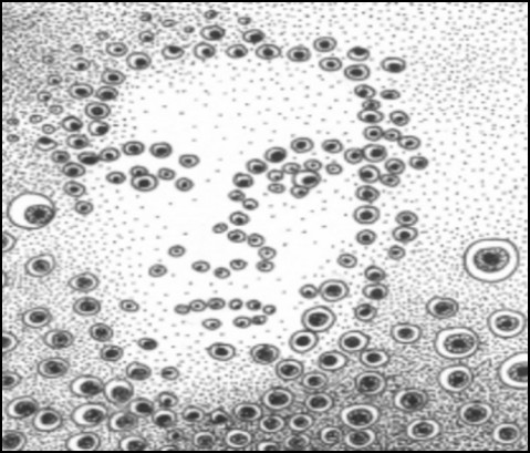 Selbstportät (Zeichung: urian)