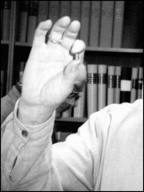 Harburger Blutmontag (Foto: urian)