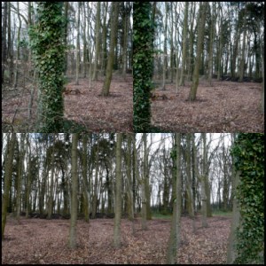 Brunnenweg Stade (Fotos: urian)