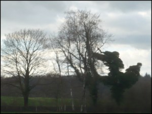 Brunnenweg Stade (Foto: urian)