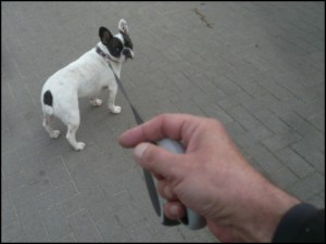 Brunnenweg Stade (Foto: urian)