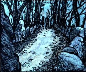 HIMMELREICH HIRN (Zeichnung: urian)