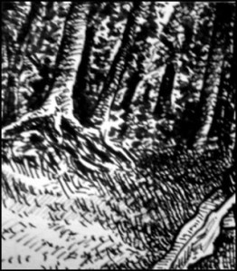 Stadtläufer (Zeichnung: urian)