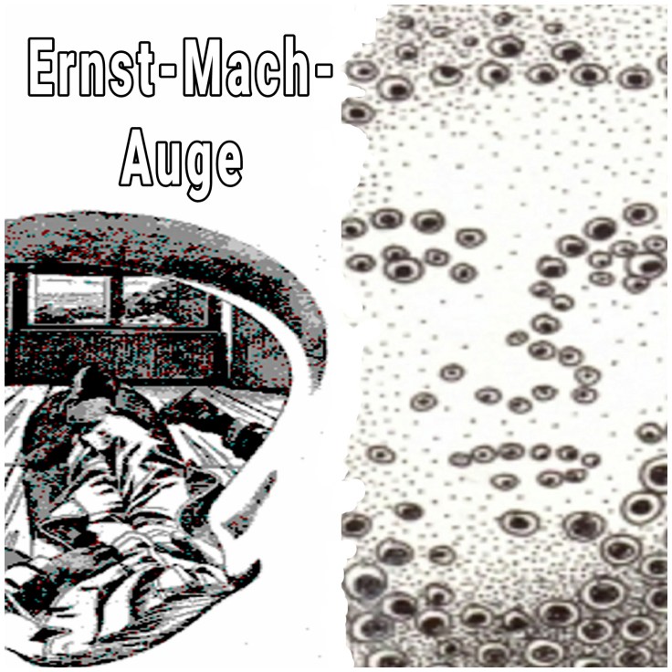 Ernst-Mach-Auge (Bild: urian)