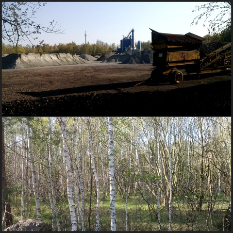 Sandgrube Stade Haddorf Wiepenkathen (Fotos: urian)