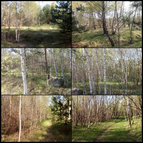 Sandgrube Stade Haddorf Wiepenkathen (Fotos: urian)