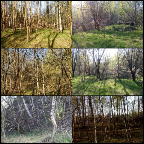 Sandgrube Stade Haddorf Wiepenkathen (Fotos: urian)