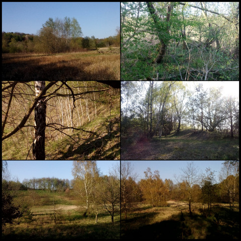 Sandgrube Stade Haddorf Wiepenkathen (Fotos: urian)