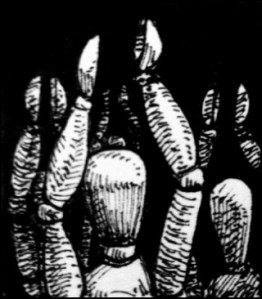 Aus dem Zeichenbuch (Zeichnung: urian)