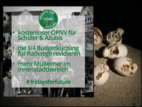 fridays for future in Stade (Bild/Montage: urian)