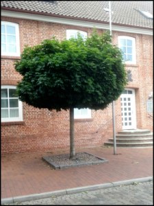 Am Sande Stade (Foto: urian)