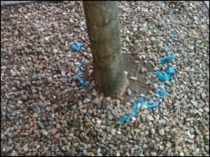 Am Sande Stade (Foto: urian)