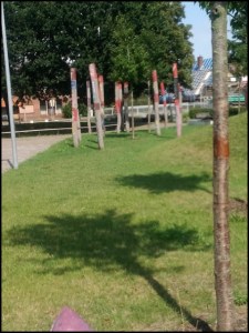 Schulpark Stade-Bützfleth (Foto: urian)