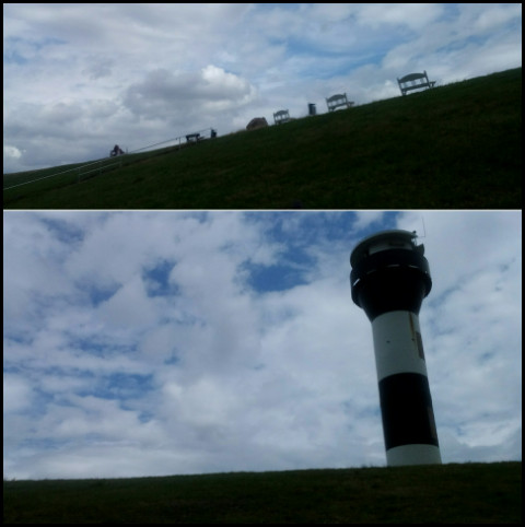 Deich vor Twielenfleth August 2019 (Foto: urian)